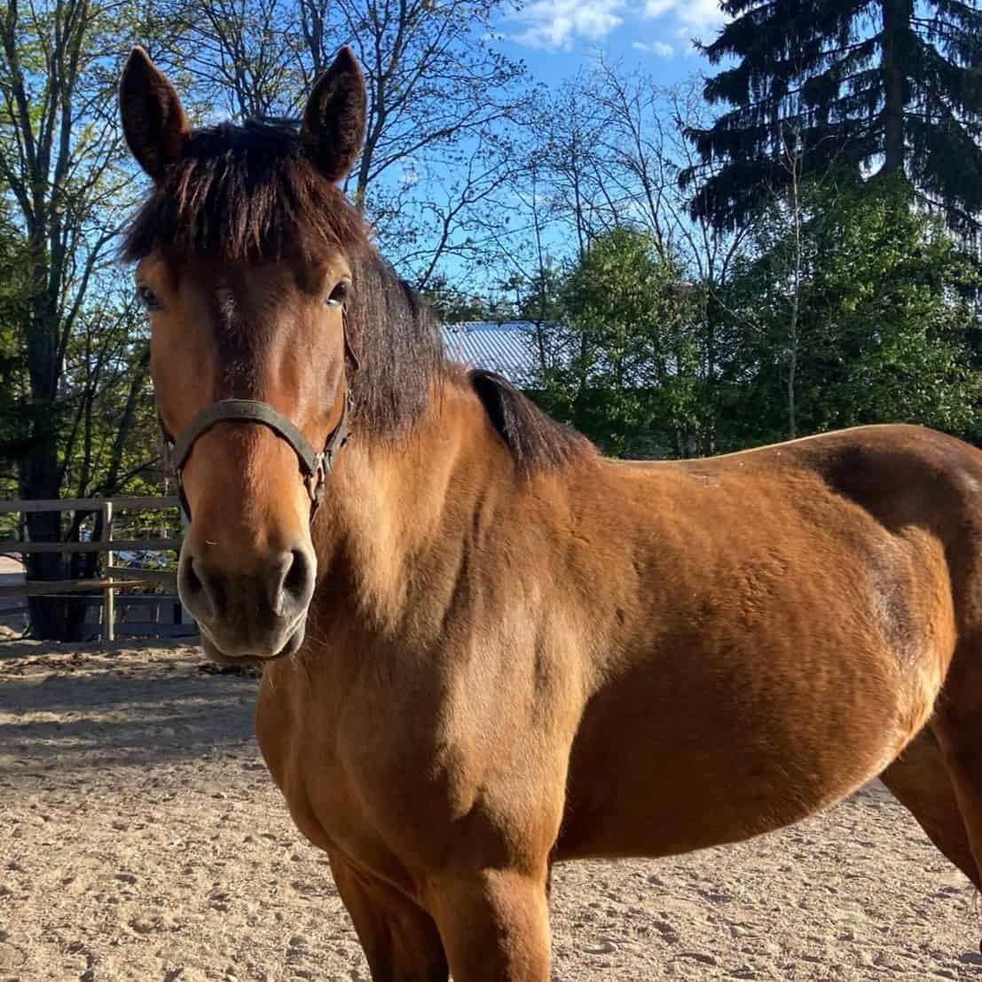 WhatsApp Image 2025-05-26 at 11.02.43